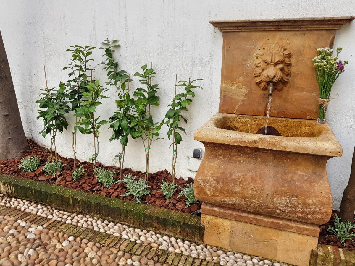 Riad Mezquita De Córdoba Exteriör bild